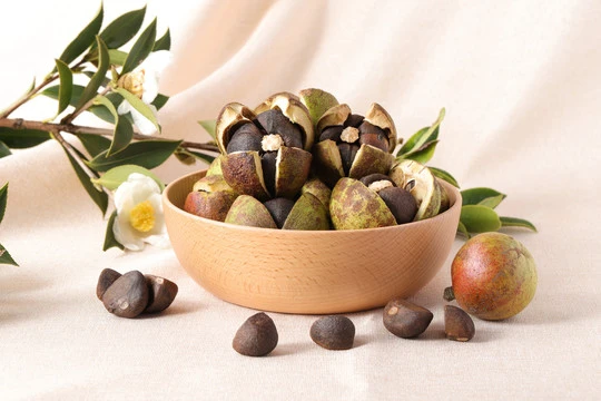 camellia oleifera seed extract1 camellia oleifera seed extract1