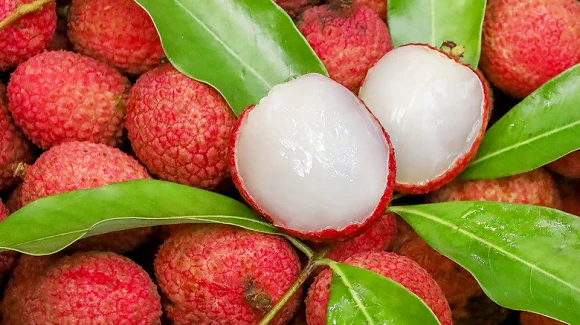 Lychee Lychee