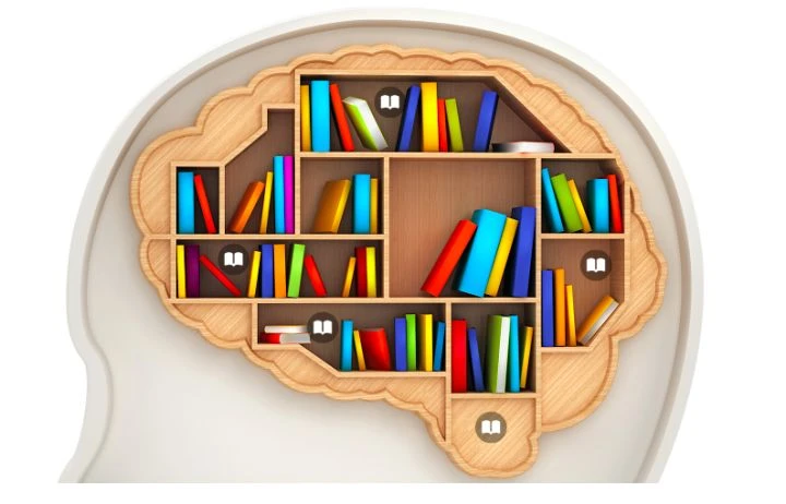 Rehmannia glutinosa extract can enhance learning and memory