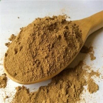 Holly extract powder Holly extract powder