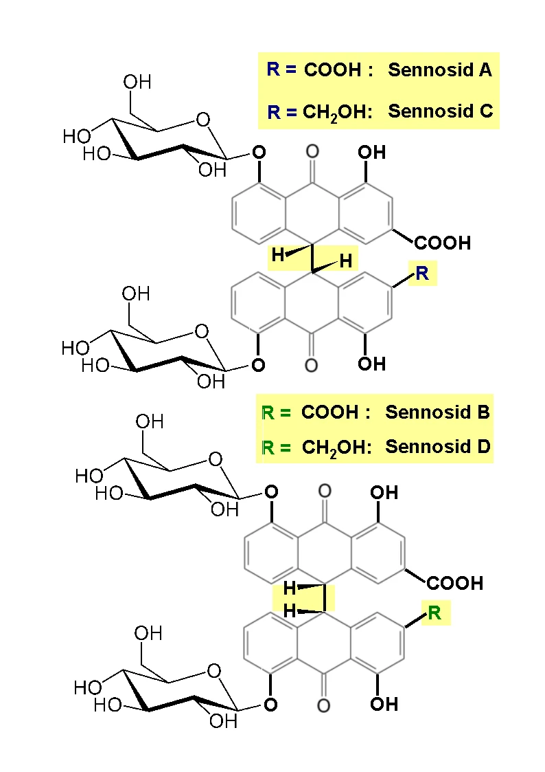 Sennosides VS sennoside B : Sennosides VS sennoside B :