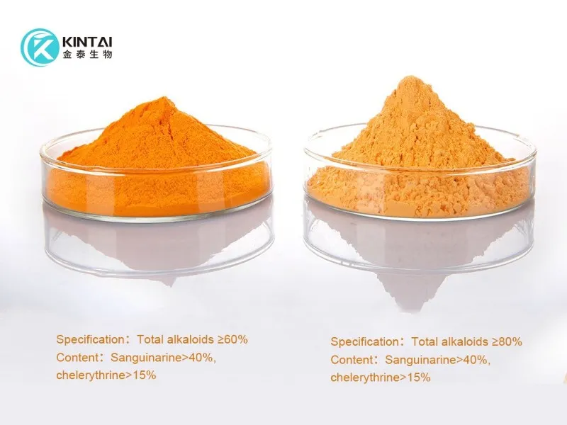 more specifciation of Macleaya Cordata Extract more specifciation of Macleaya Cordata Extract