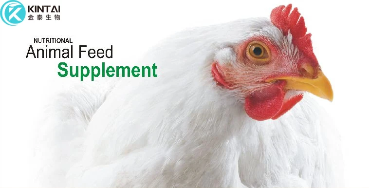 Pure Lysine Powder apply in Animal Feed Supplements Pure Lysine Powder apply in Animal Feed Supplements