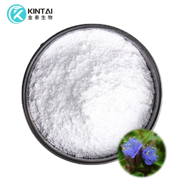 Cyanotis Arachnoides Extract