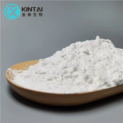 Dl Tetrahydropalmatine