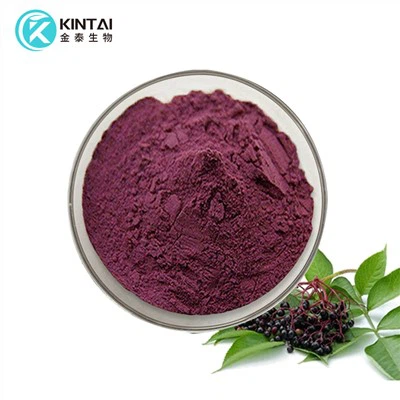 Elderberry Extract Powder