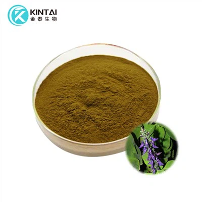 Forskohlii Root Extract