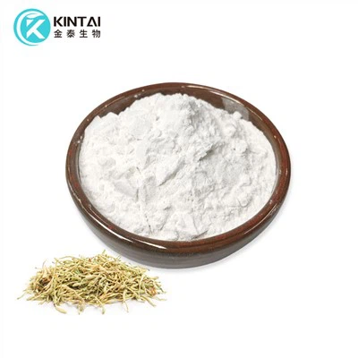 Honeysuckle Flower Extract