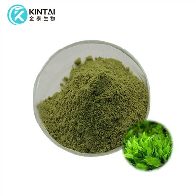 Spirulina Extract Powder