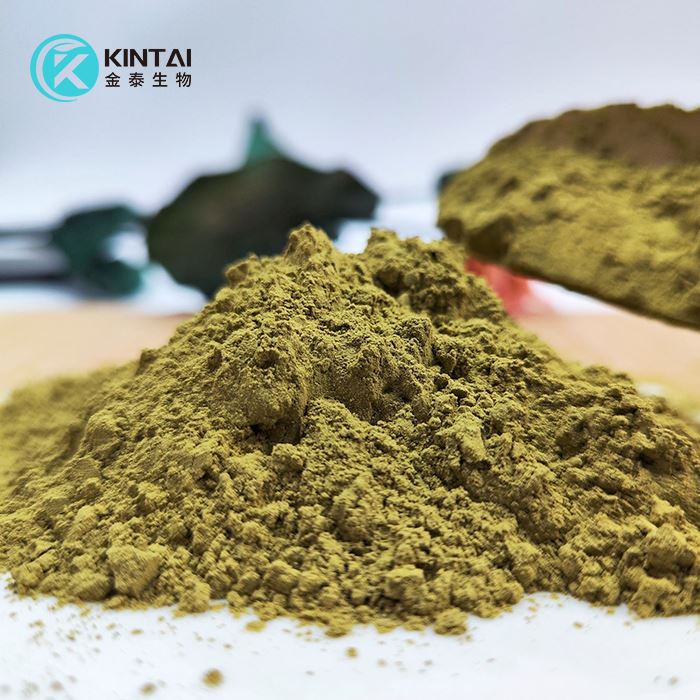 Corosolic Acid Loquat Leaf Extract