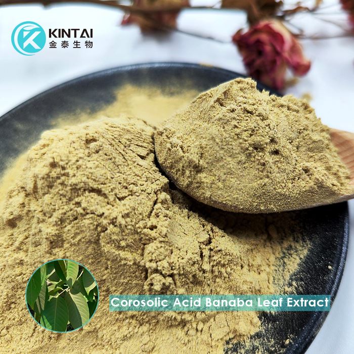 Corosolic Acid Banaba Leaf Extract