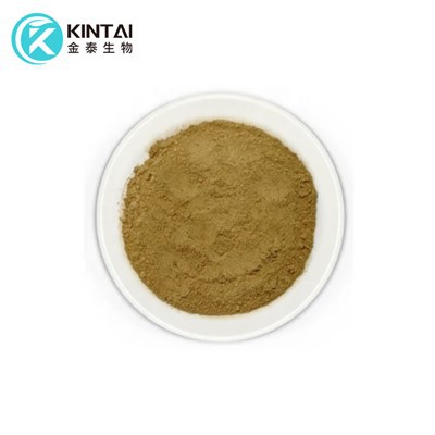 Chrysanthemum Parthenium Feverfew Extract
