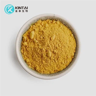 folic mineral powder
