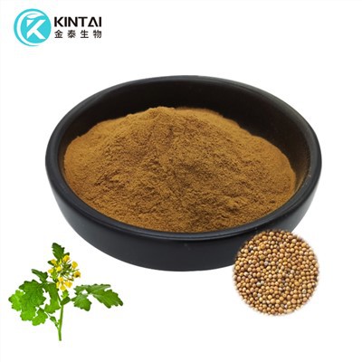 Mustard Seed Extract Powder