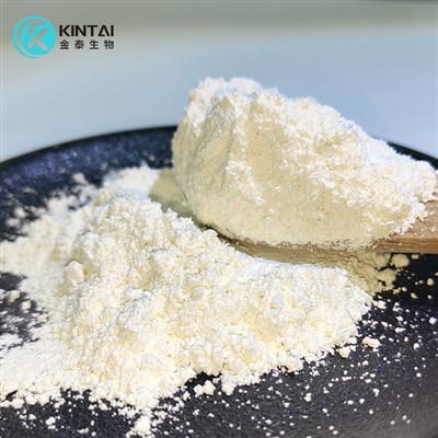 Rosmarinic Acid Powder