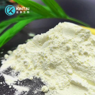 Watermelon Seed Protein