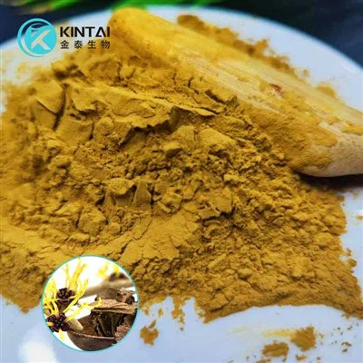 Hamamelis Virginiana Extract