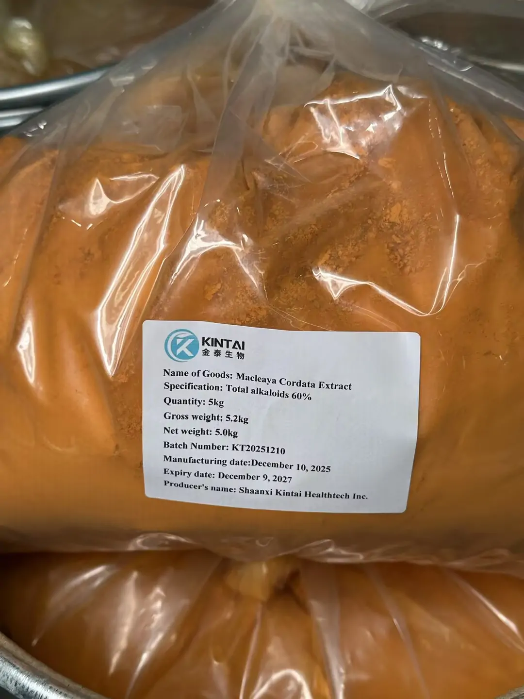 Macleaya Cordata Extract high quality