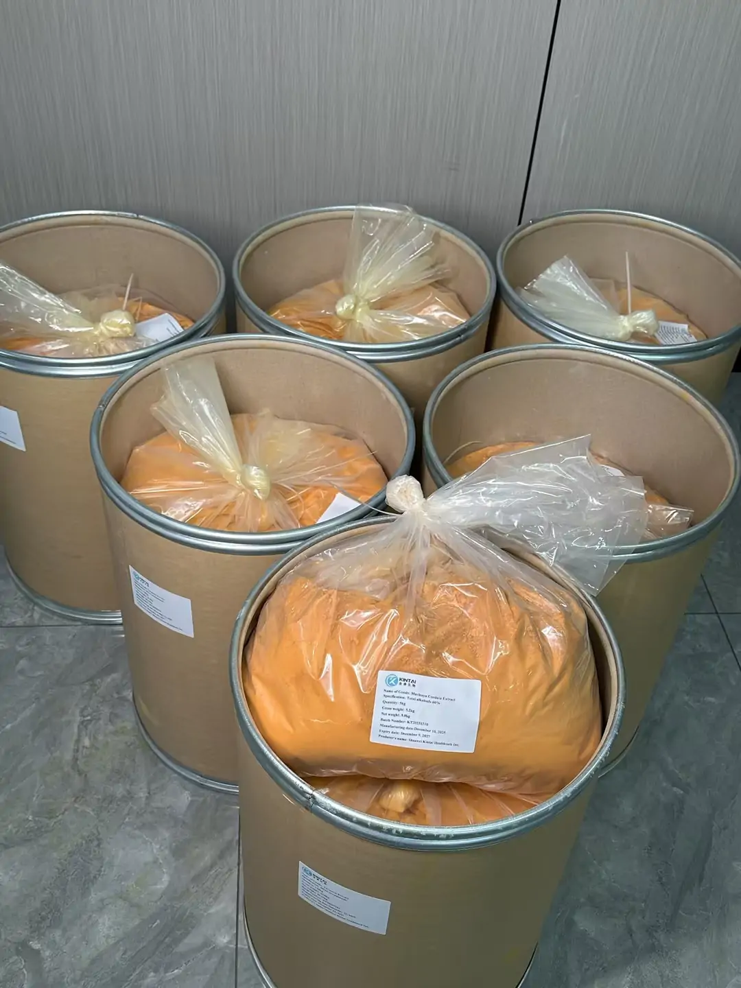 Macleaya Cordata Extract high quality