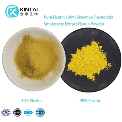 Cotinus Coggygria Extract Fisetin Powder
