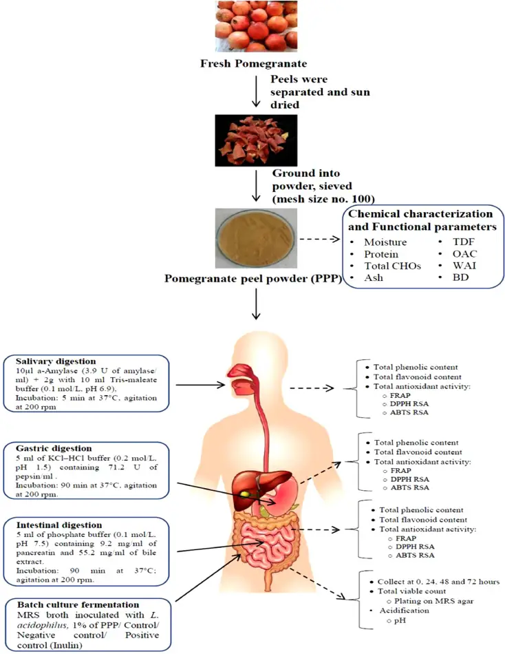 pomegranate peel powder for stomach pomegranate peel powder for stomach