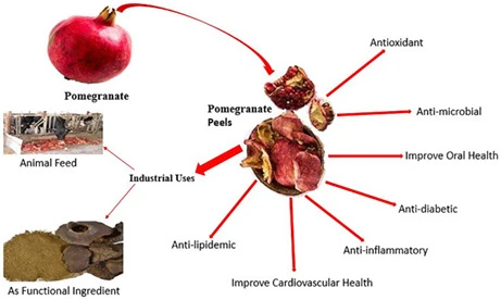 pomegranate peel benefits 3 pomegranate peel benefits 3