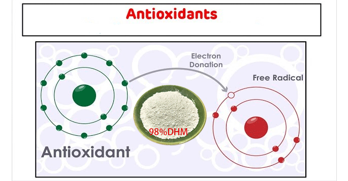 Antioxidant And Free Radical Scavenging of 98%DHM Antioxidant And Free Radical Scavenging of 98%DHM