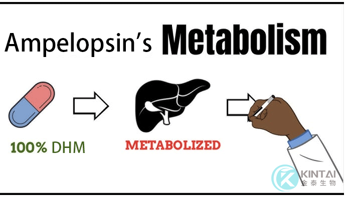 DHM Enhanced Alcohol Metabolism DHM Enhanced Alcohol Metabolism
