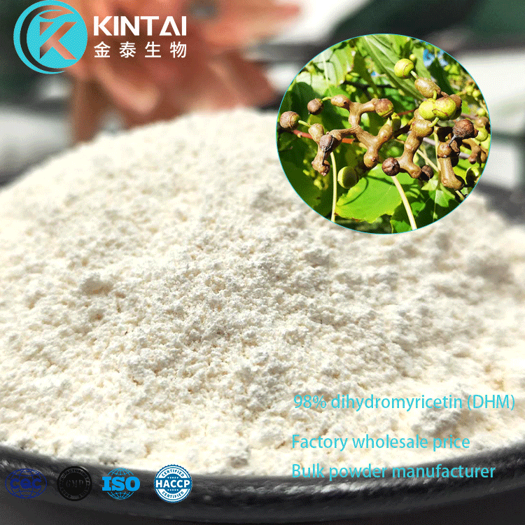 Ampelopsis Grossedentata Extract DHM Ampelopsis Grossedentata Extract DHM
