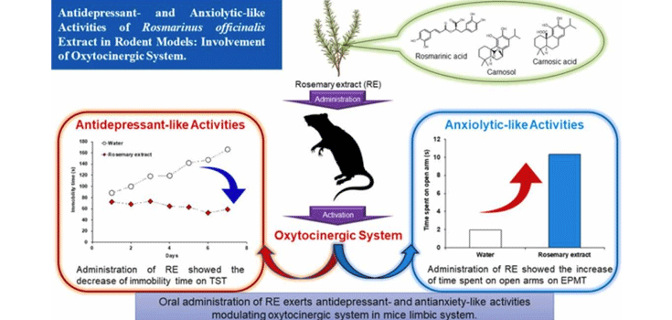 Antidepressant Effect of Rosemary Leaf Extract Antidepressant Effect of Rosemary Leaf Extract