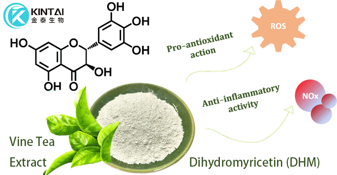 Antioxidant And Anti-Inflammatory Properties of DHM Antioxidant And Anti-Inflammatory Properties of DHM