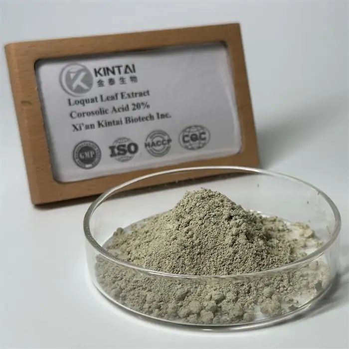 Loquat Leaf Extract Powder