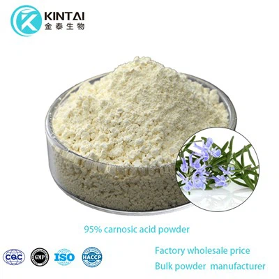 Carnosic Acid Powder