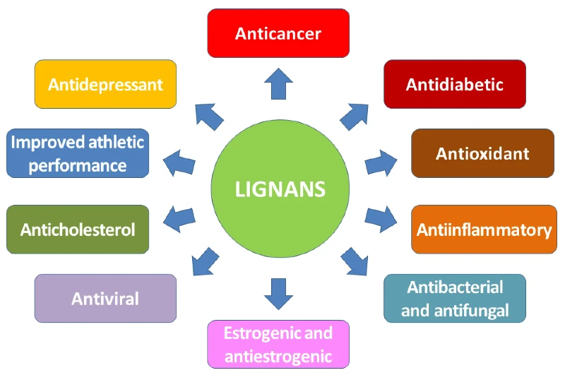 flax lignans hair loss flax lignans hair loss