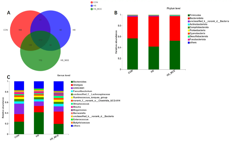 macleaya cordata benefits macleaya cordata benefits
