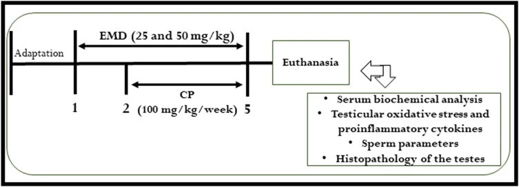emodin testosterone emodin testosterone