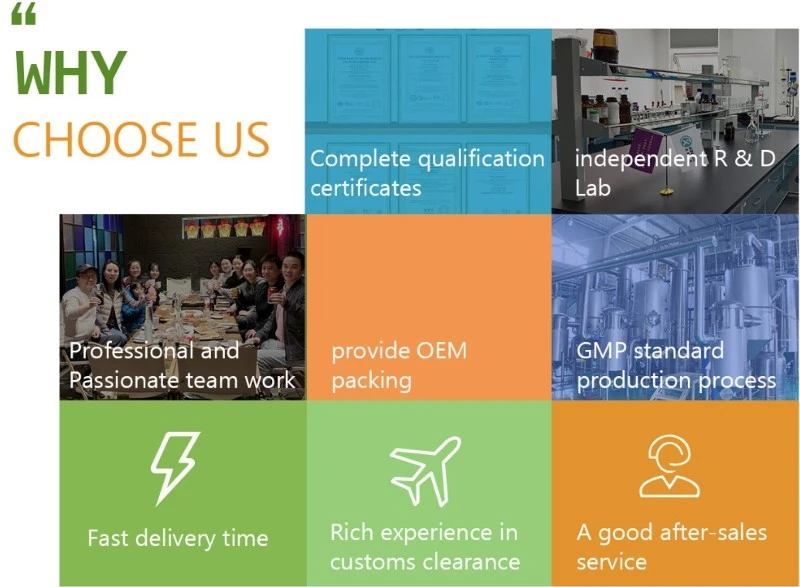 WHY CHOOSE KINTAIBIO WHY CHOOSE KINTAIBIO