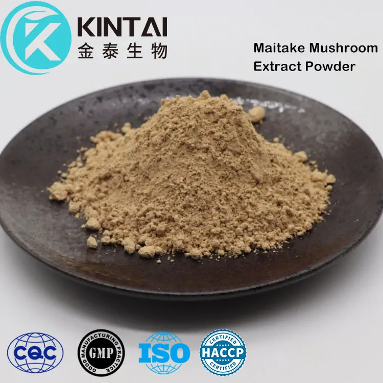 Maitake Mushroom Extract Powder Maitake Mushroom Extract Powder