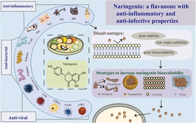 naringin antiviral naringin antiviral