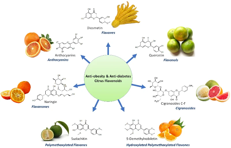 citrus bioflavonoids weight loss citrus bioflavonoids weight loss