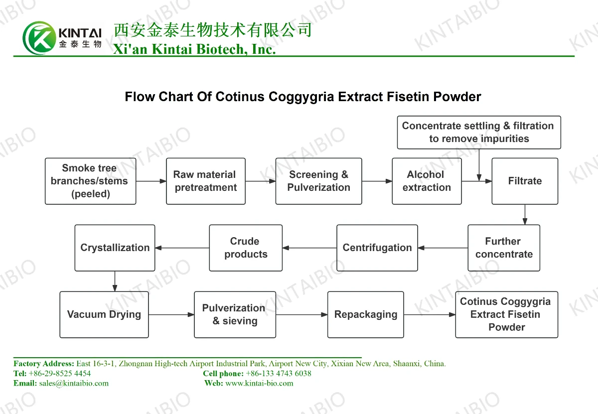 Flow Chart Of Cotinus Coggygria Extract Fisetin Powder01 Flow Chart Of Cotinus Coggygria Extract Fisetin Powder01