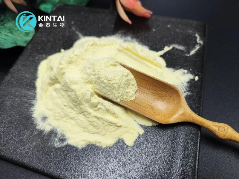 Fisetin Powder Fisetin Powder