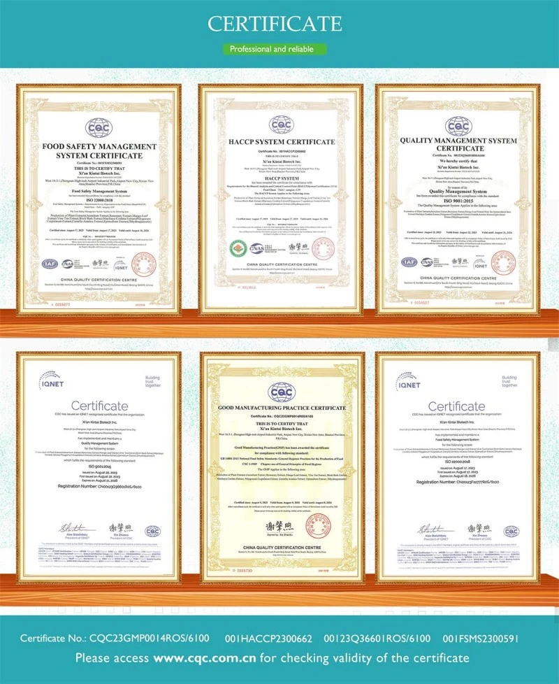 certification1 certification1