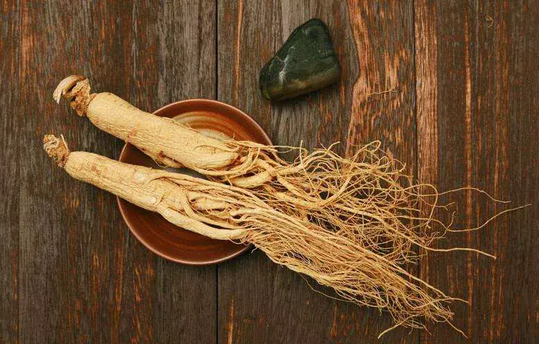 Panax Ginseng Root Panax Ginseng Root