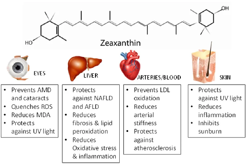 zeaxanthin skin benefits zeaxanthin skin benefits