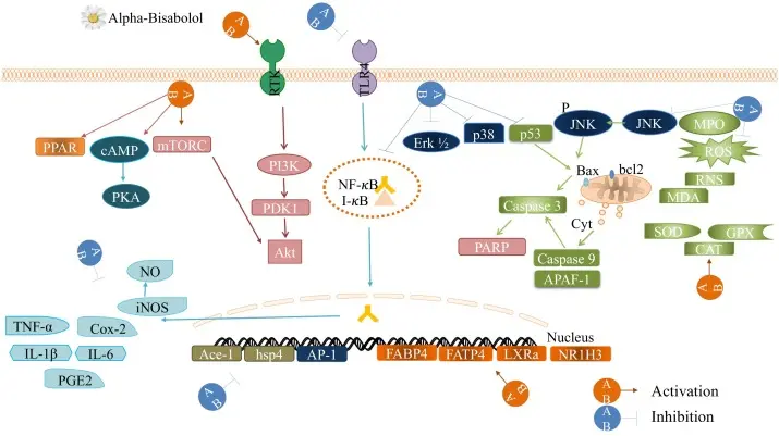Anti-inflammatory Anti-inflammatory
