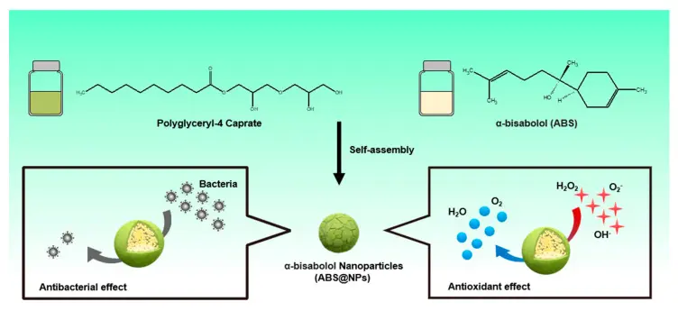 Antibacterial activity Antibacterial activity