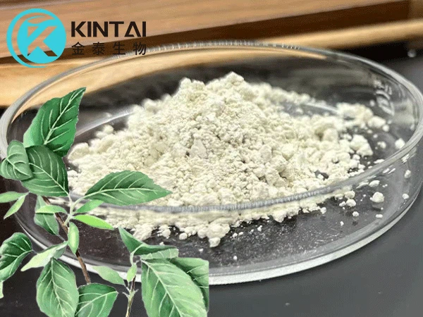 98% Chlorogenic Acid Powder Powder 98% Chlorogenic Acid Powder Powder