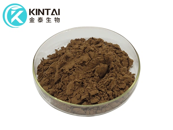 25% Chlorogenic Acid Powder Powder 25% Chlorogenic Acid Powder Powder