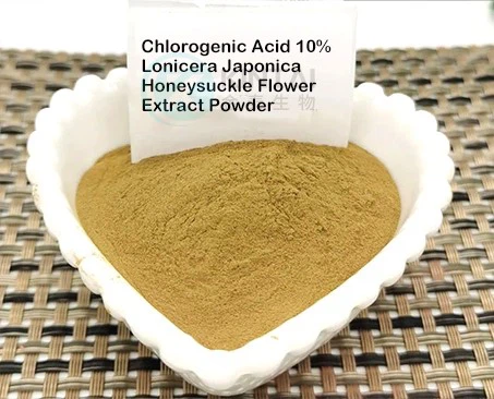 Chlorogenic Acids 10% Chlorogenic Acids 10%
